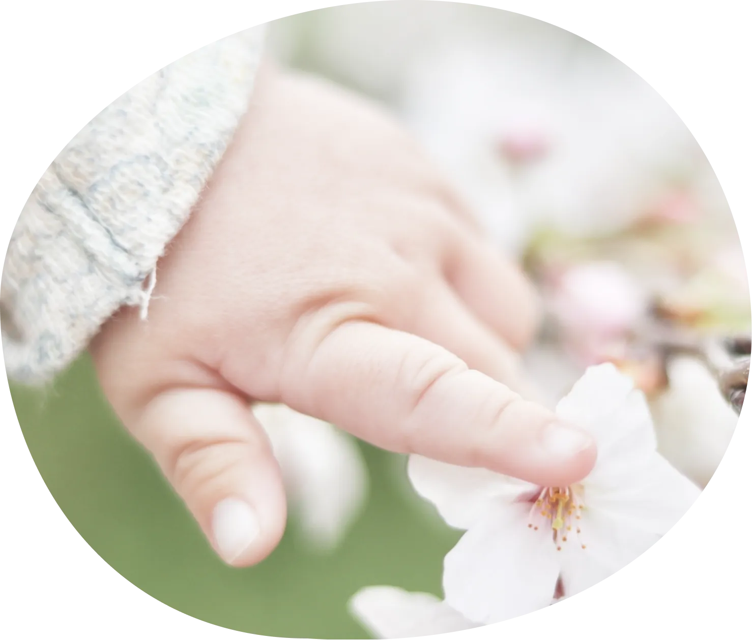 桜を触る子どもの小さい手